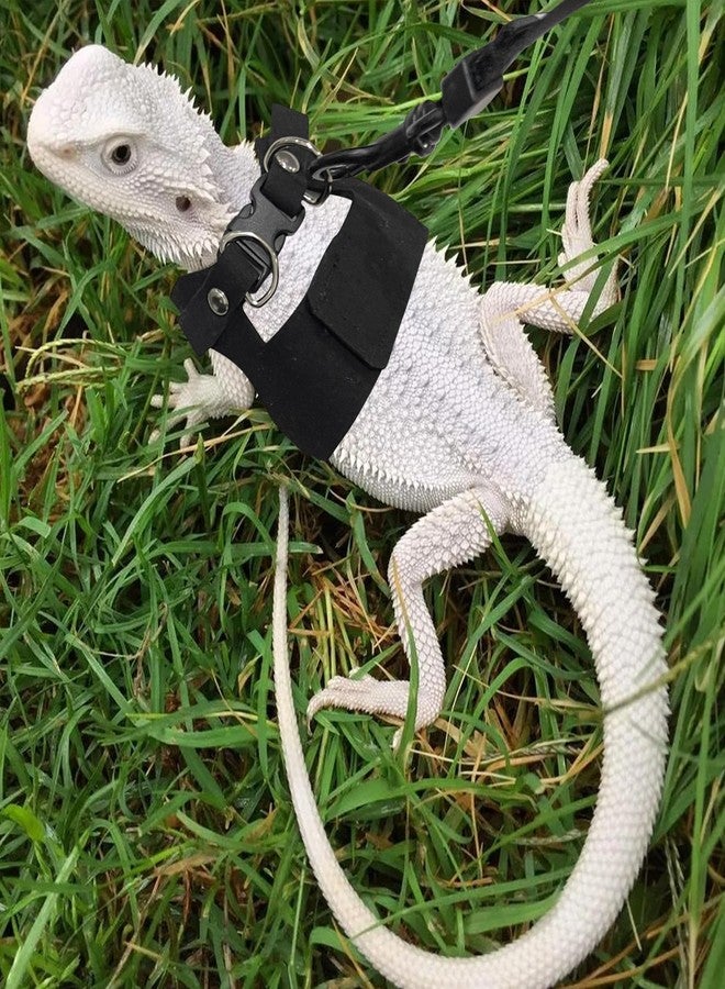 aeloer Bearded Dragon Harness and Leash Set, 3 Size Adjustable Soft Leather Reptile Leash, Lizard Harness with Retractable, Small Animal Outdoor Walking Vest with Traction Rope, 3 Pack, Black - Image 4
